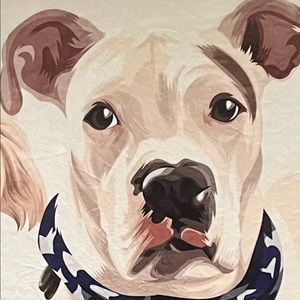 Meet your Posher, Seeranie